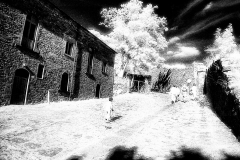 #cortona@giorgio_cottini (4)