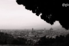 #firenze@giorgio_cottini