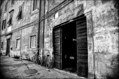 @giorgiocottini